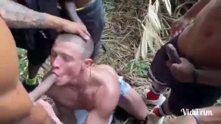 ������ ������ ���� ������� � ������ ������